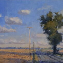 Shadows on Gannon Road   2016