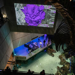 Wide view of the performance zone