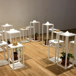 Entropic Irrigation System III