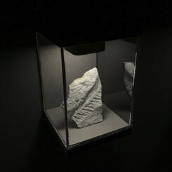 Fossil Futures: 12.2.22 Plant, plastic, fern