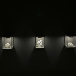 Fossil Futures Installation Shot