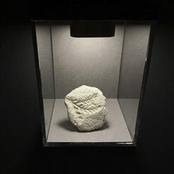 Fossil Futures: Plant, branch, gold plastic