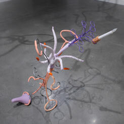 A Poke a Prod a Carrot a Nod