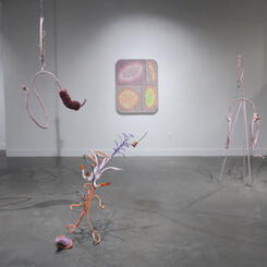 How to Shrimp Cocktail Installation View II