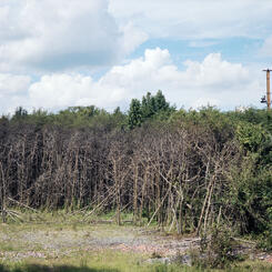 PG County Trap and Skeet Landscape 2