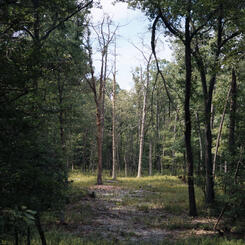 PG County Trap and Skeet Landscape 1