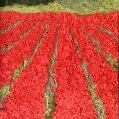 Field of Poppies