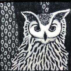Owl in Black and White