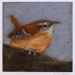 Carolina wren
