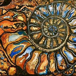 Ammonite Fossil Hash