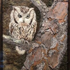 Owl in Tree