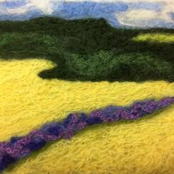 Canola Flowers and Lupine