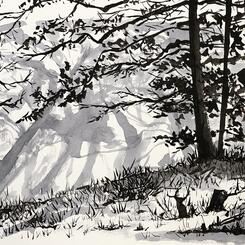 Winter Shadows on Lake Elkhorn