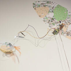 Lying Next to a Hammer in Bed