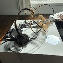 Closeup shot of one plant