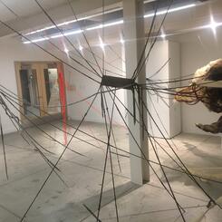 anchor points instllation 4.JPG