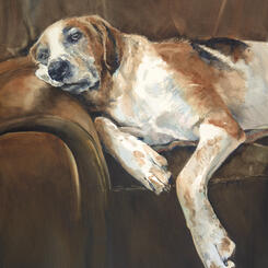 Somebody Bring Me A Biscuit