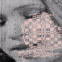 The Rosette (detail)