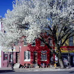 2422 Pennsylvania Avenue, Baltimore, MD 2016