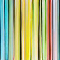 Shite and Onions.jpg