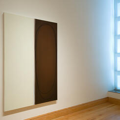 Installation, Body Work, Stevenson University 2010.jpg