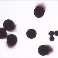 Ambiguous Space 1.jpg