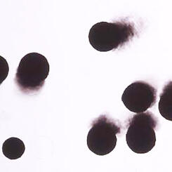 Ambiguous Space .jpg