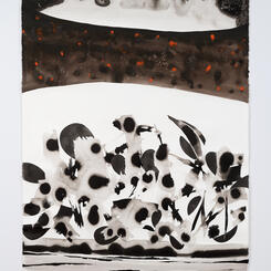 the questions arrived with smoke and ash