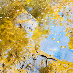 Fall on the Potomac River #2