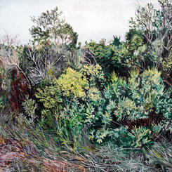 Deep brush, Eastern Shore.jpg