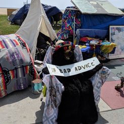 Venice Beach Tent City