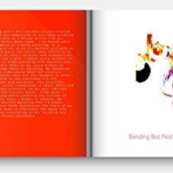 Bending but not Breaking Excerpt