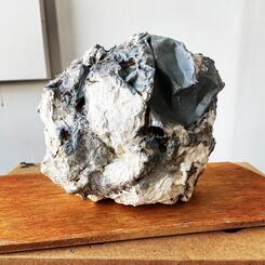 2020 Sculpture Series / Amazon and Me 