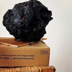 2020 Sculpture Series / Amazon and Me 