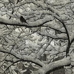 bird in late spring snow