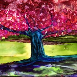 Dreaming of Cherry Blossoms