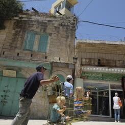 boys in shopping cart in Palestine with Israeli guard above