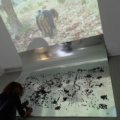 Artists installing- rubber bullets and olive trees