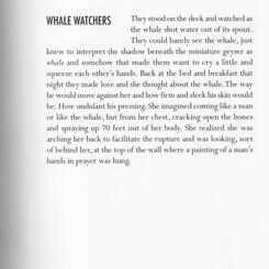Whale Watchers from ALL THE PEOPLE
