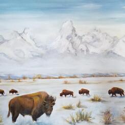 Cold Winter in Montana