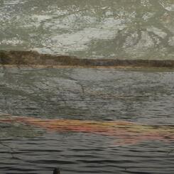 Drifting with the tide.JPG