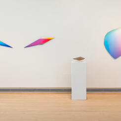 Transcolorations: Installation View