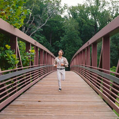 Adjective Animal, 2020