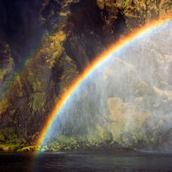 Icelandic Rainbow, 2022