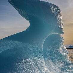 Ice Sphinx