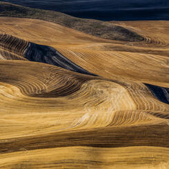 Palouse Textures