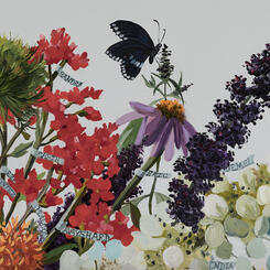 Detail: Vanitas - Black Lives Matter