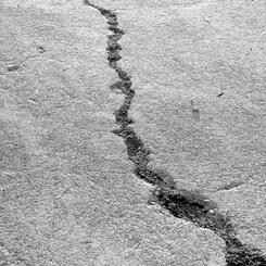 Pavement Crack