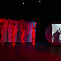 Semi-Sexi dance - Red is Real