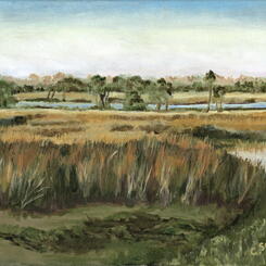 Georgia Marshland